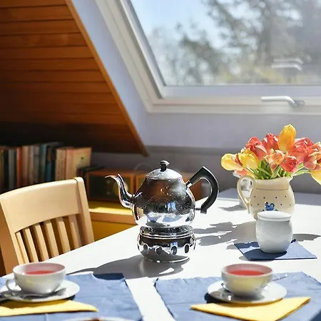 Haus Am Ginsterpad Heckenrose Juist